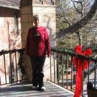Sue Helm